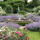 Picture of a fountain in a colourful garden with lots of bright coloured flowers