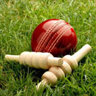 Cricket ball and wicket. 