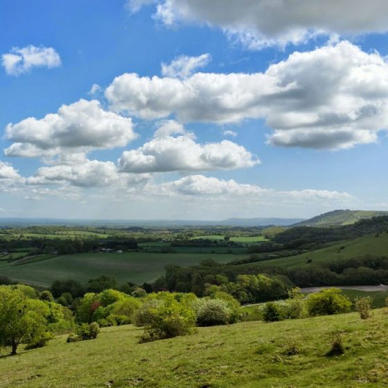 View of South Downs.